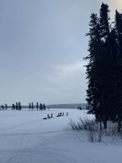 Discover Chief and council